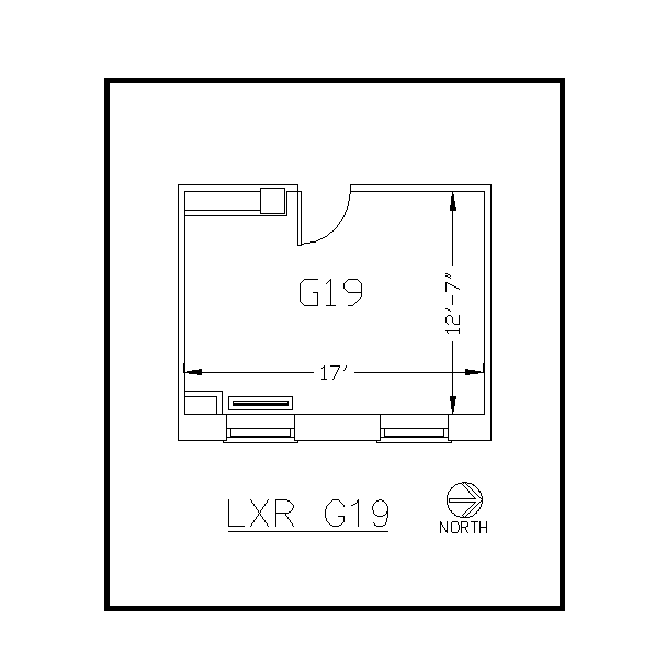 LXR LXR-G19